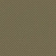 Kinglsey (CH2880-031)