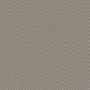 Kinglsey (CH2880-092)