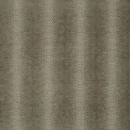 Scopus (9-2241-030)