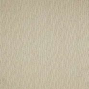 Coconino (L9359-01)